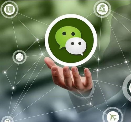 網絡技術服務 職業“養號”與電詐幕后推手的灰色產業鏈