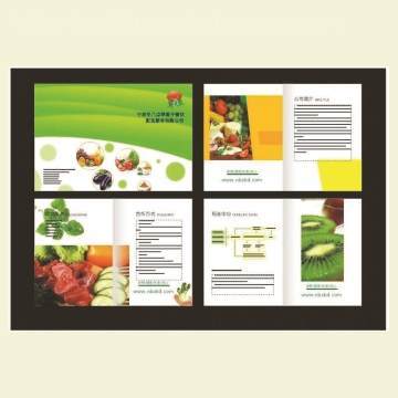 沈陽(yáng)產(chǎn)品樣本設(shè)計(jì)印刷一站式服務(wù) 從創(chuàng)意設(shè)計(jì)到精美印刷的全方位解決方案